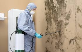 Best Mold Odor Removal Services  in Marfa, TX